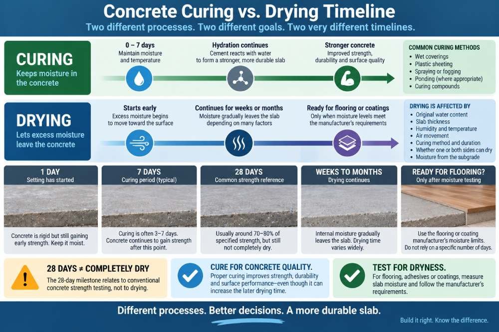 Concrete curing vs drying timeline showing curing, strength gain, 28-day milestone and moisture drying